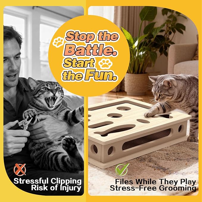Cat Scratch Puzzle Enrichment Box, Interactive Cat Puzzle Toy Box | Cat Claw Care, Cat Scratch Puzzle Box - Stress Free Alternative to Clippers & Grinders for Indoor Cats, No Bell Ball