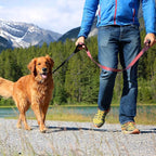Leash Boss Original - Heavy Duty Dog Leash for Large Dogs - No Pull Double Handle Training Lead for Walking Big Dogs - Dog Leashes with Padded Handle for Control and Safety (Classic Red)