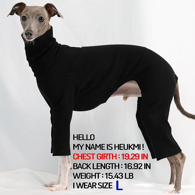 D Doggy Star Italian Greyhound Clothes Stretchable Onesie Whippet for Dog (XL,Ribbed Black)