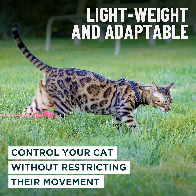Houdini™ Escape Proof Cat Harness and Leash (Multicolor, XL) | Adjustable walking vest with 6ft lead, premium padded finish, snug secure fit, lightweight for travel and outdoor adventures