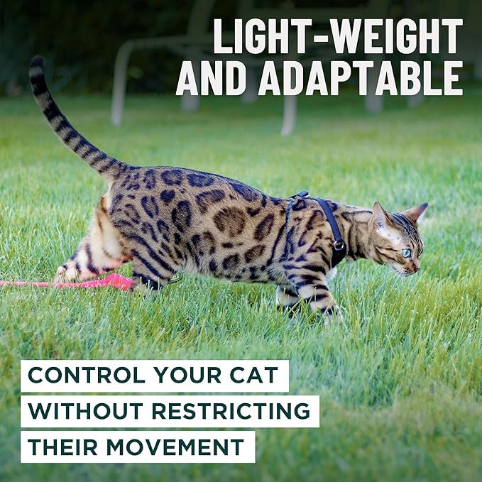 Houdini™ Escape Proof Cat Harness and Leash (Multicolor, M/L) | Adjustable walking vest with 6ft lead, premium padded finish, snug secure fit, lightweight for travel and outdoor adventures