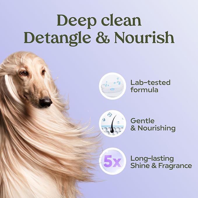 PAWFUME Dog Shedding Shampoo and Conditioner, Royal Lavender, 1-Pack – Nourish & Detangle for Silky Soft Coat – Probiotic, Deep-Cleaning, pH-Balanced – Salon-Quality Shedding Shampoo for Dogs