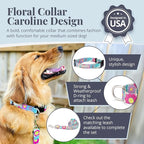 Lucky Love Dog Collars, Cute X-Small Dog Collars for Female Dogs, Part of Purchase Donated to Rescue, Caroline, Extra Small