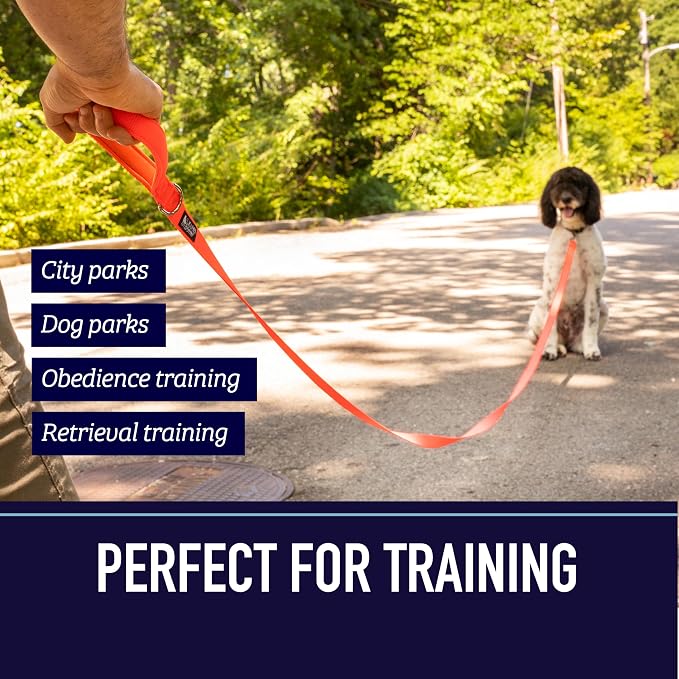 Leash Boss 15 Foot Dog Leash with Padded Handle - Long Leash for Hiking, Camping, Exploring, or Walking (15 Ft, Black/Red/Grey)