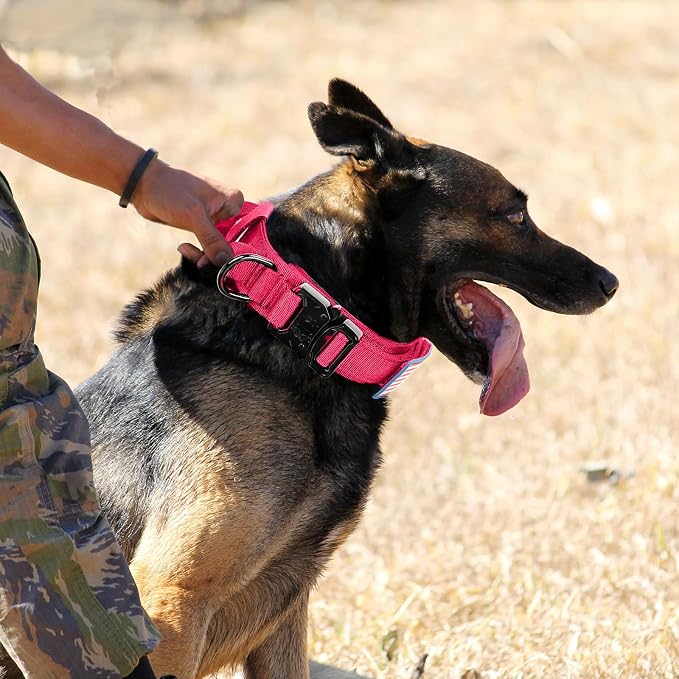 Tactical Dog Collar and Bungee Leash,Military Dog Collar & Leash Set with USA American Flag Adjustable K9 Collar with Heavy Duty Metal Buckle & Handle,with Patches and Airtags Case (Pink(1PCS), XL)