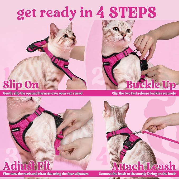 rabbitgoo Cat Harness and Leash Set, Escape Proof Vest, Rose Red | Soft Breathable Mesh, Easy Adjustable Fit, Snap Buckles, Sturdy Clip, Reflective Strips, for Kittens & Small Cats Walks, Xxs