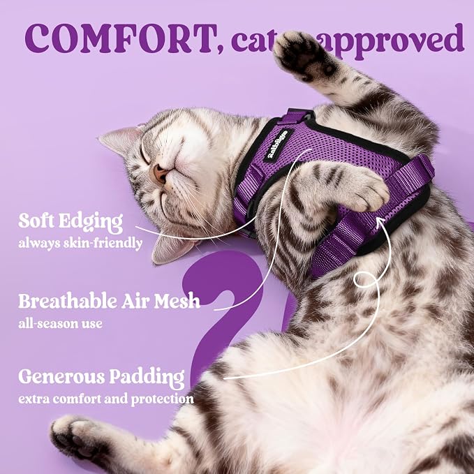 rabbitgoo Cat Harness and Leash Set, Escape Proof Vest, Purple | Soft Breathable Mesh, Easy Adjustable Fit, Snap Buckles, Sturdy Clip, Reflective Strips, for Average Cats Walks, S