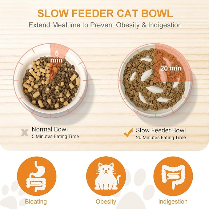 Slow Feeder Bowl for Cats and Small Dogs,Cilkus Fish Pool Design, Fun Interactive Bloat Stop Puzzle Feeder Bowl Healthy Eating Diet Made of Melamine Food Grade Material (White Ceramic-Bamboo Stand)