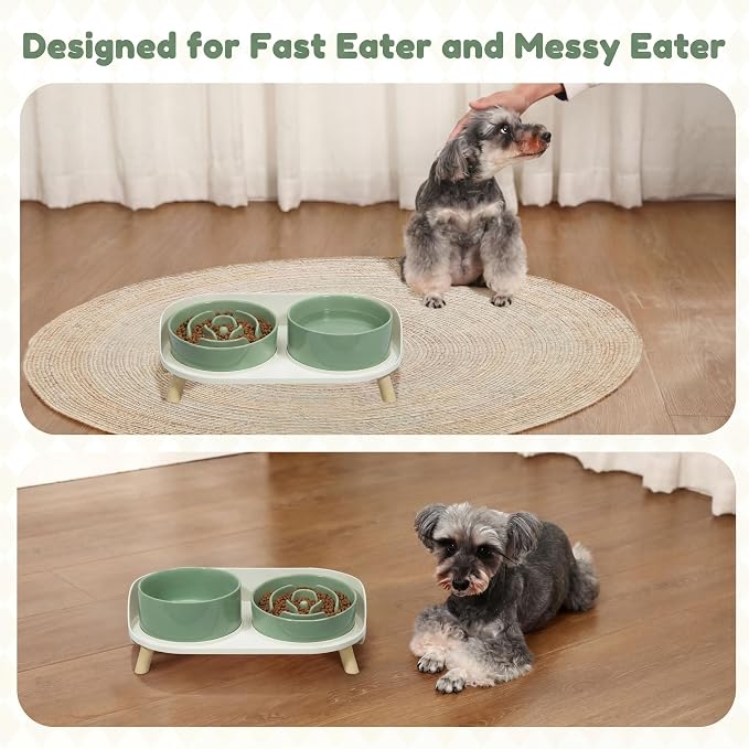 Elevated Slow Feeder Dog Bowls with Splash Proof Stand, Slow Eating 5X | 6.5″ Dog Slow Feeding Bowls & 6.1″ Dog Food Dish, Non-Slip Raised Food and Water Bowl Set for Small and Medium Breeds, Green