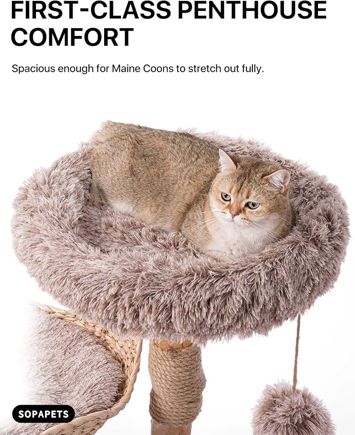 Sopapets Solid Wood Cat Tree for Large Cats, 41.3" Modern Cat Tower with Heavy Duty Real Branch & Hand-Woven Basket, Sisal Scratching Posts & Cozy Bed, Luxury Furniture for Indoor & Maine Coon, Beige