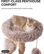 Sopapets Solid Wood Cat Tree for Large Cats, 41.3" Modern Cat Tower with Heavy Duty Real Branch & Hand-Woven Basket, Sisal Scratching Posts & Cozy Bed, Luxury Furniture for Indoor & Maine Coon, Beige