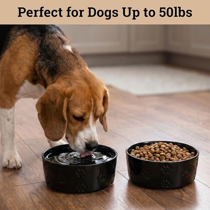 Ceramic Dog Bowl Set of 2 w/ Anti-Skid Base 6.5"W x 2.5"H, 3.8 Cup Capacity | Thick Ceramic, Dishwasher Safe, Anti-Skid Rubber Base, 3.8 Cups per Bowl, Ceramic Food & Water Bowls Set of 2 for Medium Dogs