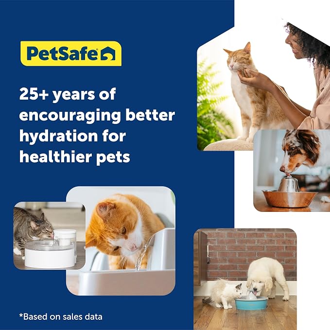 PetSafe Viva Pet Water Fountain, 64 oz, for Cats and Small Dogs | 64 Oz Capacity, Rust-Resistant Stainless-Steel Bowl, Whisper-Quiet Pump, Dishwasher Safe, Filters Included