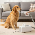 DUMOS Dog Hair Dryer for Pet Grooming, Low Noise, 6.5 FT Cord | Dog Blow Dryer with Adjustable Wind Speed & Heater Temperature, Cool-Warm-Hot Cycle Mode, 4 Nozzles, White