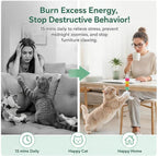 Interactive Cat Toy for Indoor Cats, Automatic Hanging Cat Toy with 5 Refill Teasers, USB-C Rechargeable Self Play Cat Toy, Door Kitten Toy for Exercise, Boredom Relief and Cat Enrichment (White)