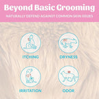 SKOUT'S HONOR Probiotic Puppy Shampoo and Conditioner - Happy Puppy, 16 oz | Natural 2-in-1 for Puppies and Dogs, Microbiome-Friendly with Avocado Oil & Omega-3s, Paraben & Sulfate-Free
