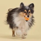 Playology Dog Toys | Squeaky Chew Ball for Dogs, Value 3-Pack | Cheddar Cheese Scented Small Dog Balls | Bouncy Floating Chew Toys for Fetch