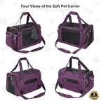 EliteField Deluxe Soft Pet Carrier for Cats and Dogs (3-Year Warranty) | Airline Approved, Waterproof Fabric, Scratch-Resistant Mesh, Expandable Mat, Built-In Leash, Suitcase Sleeve, Seat Belt Loops