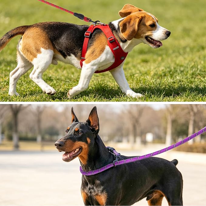 BEAUTYZOO 12 Pack Dog Leashes for Large Dogs Heavy Duty, 5FT Bulk Rope Dog Leashes Multipack with Reflective Thread, Soft Padded Handle Thick Lead Leash for Medium Dogs