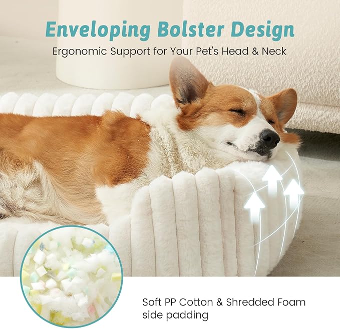 Cute Pet Bed for Small Dogs & Cats - Washable Rectangle Dog Bed with Anti-Slip Bottom, Soft Calming Cat & Puppy Bed for Indoor Pets (30"x23"x7", Cream)