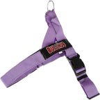 BULLHUG Adjustable Dog Harness– No Pull, No Choke – for English Bulldogs, French Bulldogs, Pugs & Broad-Chested Breeds – Easy, Safe Walks (Purple, Small)