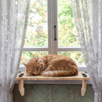 Double-layer Window Sill Extender Plant Shelf, 20+21 Inch Detachable Adjustable Window Sill Extender Shelf Stand for Plants Cat Perch, Renter Friendly No Drilling/Damage (Natural Wood Color)