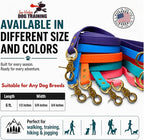 Gummy K9 Dog Leash, Biothane, Dog Training Leash, Made in The USA, 6 Feet, Various Sizes & Colors (1/2, Teal)