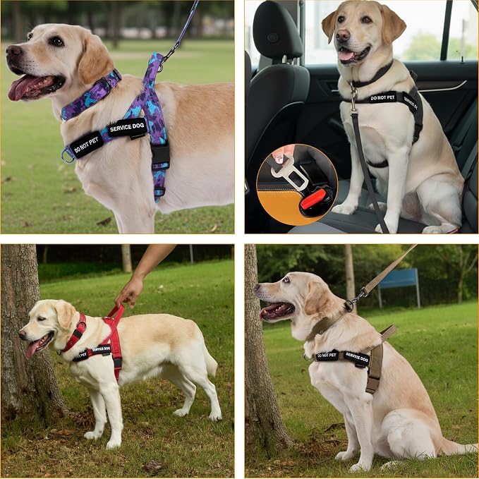 Annchwool No Pull Dog Harness,Heavy Duty Reflective Collar & Leash Set-Leash with Double Handle & Car Seatbelt Clip-Easy Control for Walking Training Medium Large Size Dogs(Red,XL)