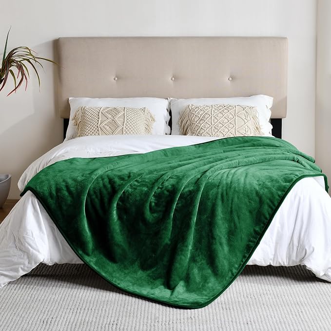 Soft Waterproof Blanket for Bed Couch Sofa, Green, 50x60 inches | Liquid Pee Proof Pet Blanket for Dog Puppy Cat, Reversible Sherpa Fleece Blanket for Couch Cover, Furniture Protector