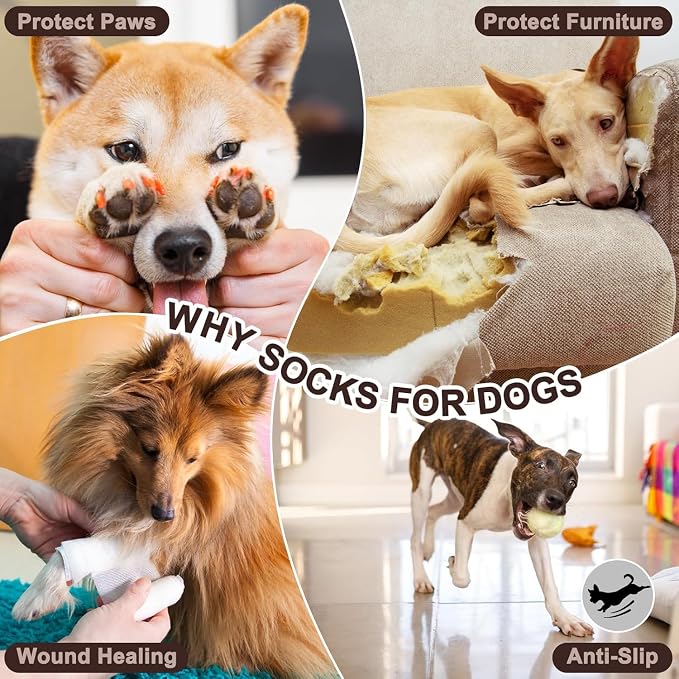EXPAWLORER 6PCS Anti-Slip Dog Socks to Prevent Licking Paws,Dog Shoes for Hot Pavement,Best Paw Protector Traction Control on Hardwood Floor,Dog Booties for Puppy Small Medium Large Senior Dogs