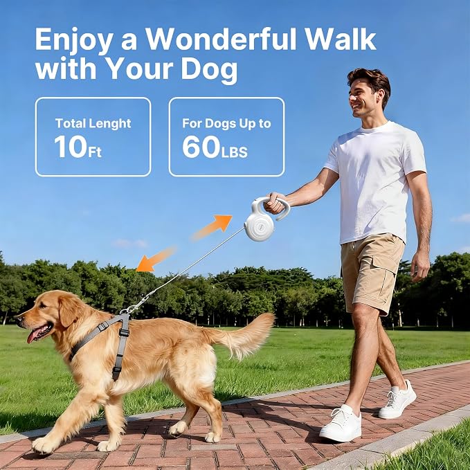Retractable Dog Leash, 10Ft Nylon Tape, 360° Tangle-Free, Ergonomic Lightweight Handle for Small & Medium Dogs (White)