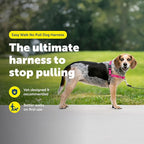 PetSafe Easy Walk No-Pull Dog Harness - The Ultimate Harness to Help Stop Pulling - Take Control & Teach Better Leash Manners - Helps Prevent Pets Pulling on Walks - Small/Medium, Raspberry/Gray