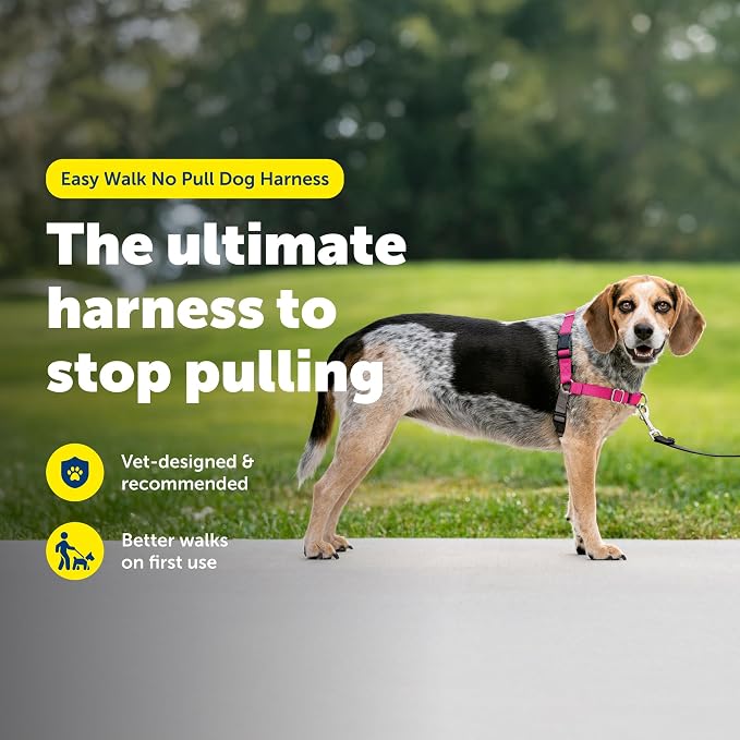 PetSafe Easy Walk No-Pull Dog Harness - The Ultimate Harness to Help Stop Pulling - Take Control & Teach Better Leash Manners - Helps Prevent Pets Pulling on Walks - Small/Medium, Raspberry/Gray