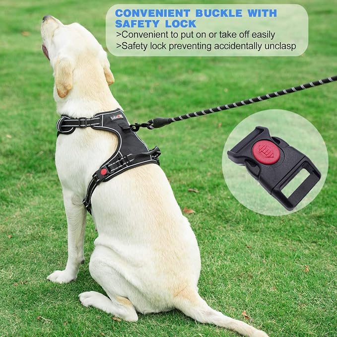 tobeDRI No Pull Dog Harness Adjustable Reflective Oxford Easy Control Medium Large Dog Harness with A Free Heavy Duty 5ft Dog Leash, Black, M