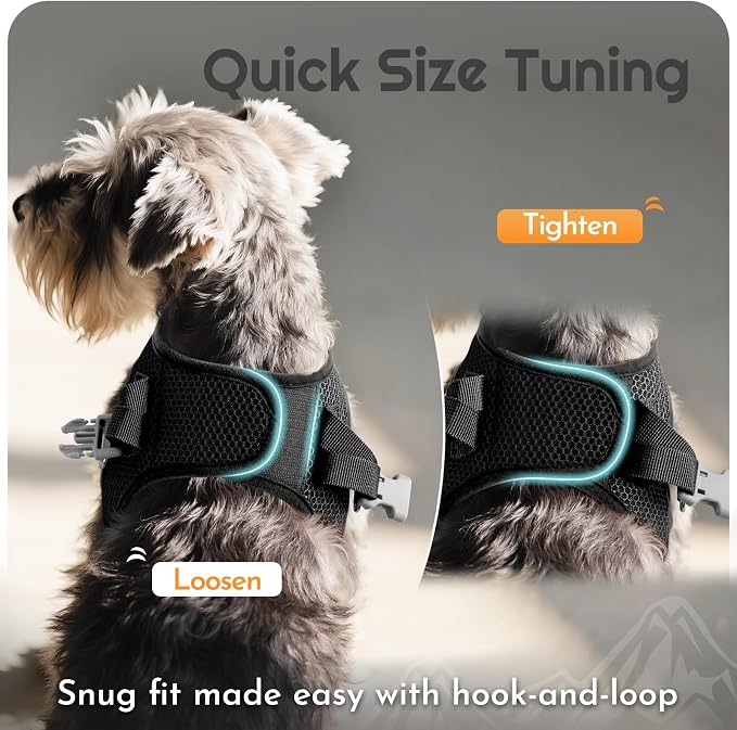 Eagloo Small Dog Harness and Leash Set, Step in Medium Small Puppy Pet Vest | Light, Soft, Breathable Air Mesh, Easy on and off with Hook & Loop, Reflective for Safe Walking, Black, M