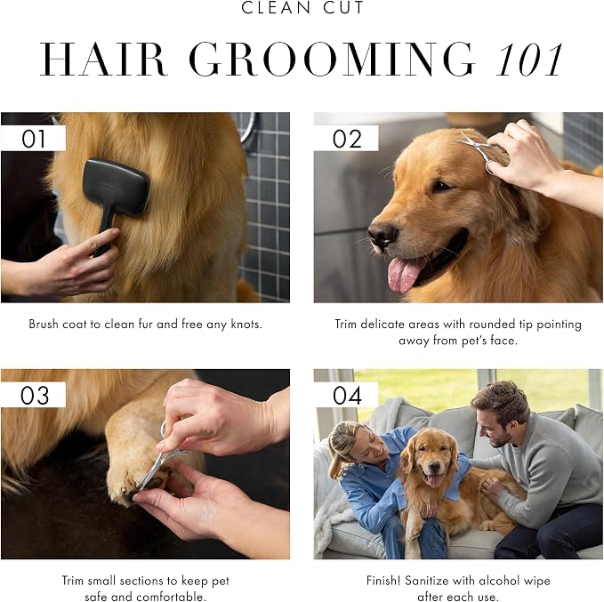 Tweezerman Pet Grooming Scissors-Rounded Tip Trimming Scissor for Dogs/Cats