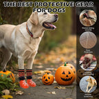 EXPAWLORER Halloween Anti Slip Dog Socks to Prevent Licking Paws, Boots & Paw Protectors with Spider Web Grippers,Doggie Booties for Hardwood Floors for Small Medium Large Senior Dogs Orange Pumpkin L