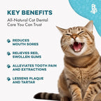 BestLife4Pets Cat Dental Care Supplement - 400 Pills | for Bad Breath, Tartar & Gum Support - Natural Cat Teeth Cleaning Oral Tablets Provide Eating & Gum Comfort, Teeth Wellness