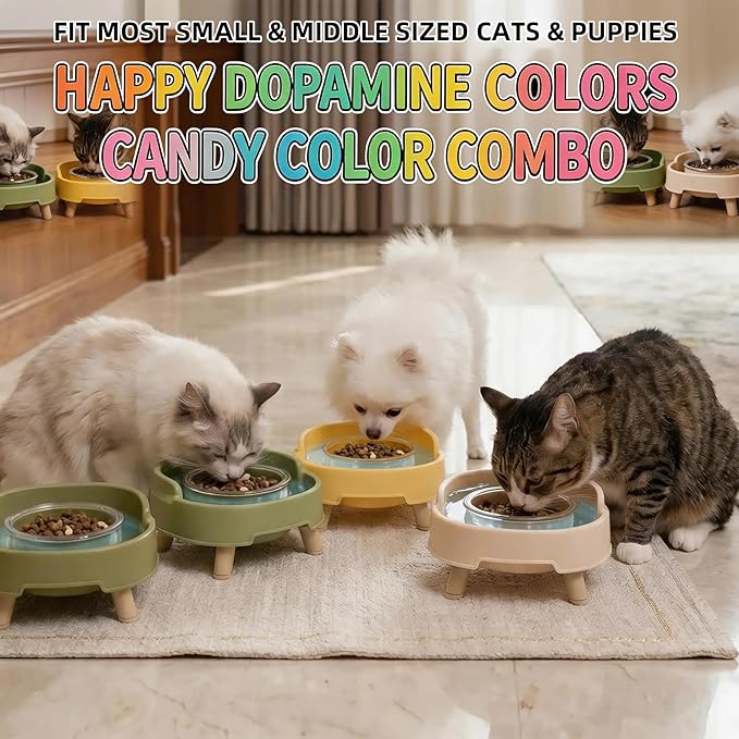 2 Pack Ant Not Cross Elevated Cat Bowls Mess Proof-4 Food Grade Glass Bowls & 2 Lids- No Spill Cat Food and Water Feeding Station for Cats&Puppy Indoor & Outdoor,No Whisker Fatigue Dish,Beige