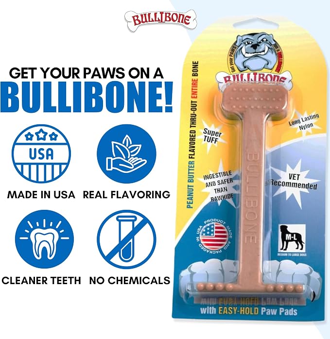 Bullibone Nylon Dog Chew Toy for Aggressive Chewers - Dental Hygiene Bone with Peanut Butter Flavor, Durable Tough Chew Toys for Small Dogs, Indestructible Dog Bone - 2 Pack