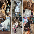 KOOLTAIL Dog Socks Shoes for Hot Pavement to Prevent Licking Paws, Winter Dog Boots&Paw Protector for Hardwood Floors Anti Slip,Traction Control Grip Booties for Small Medium Large Senior Dogs,Blue SM