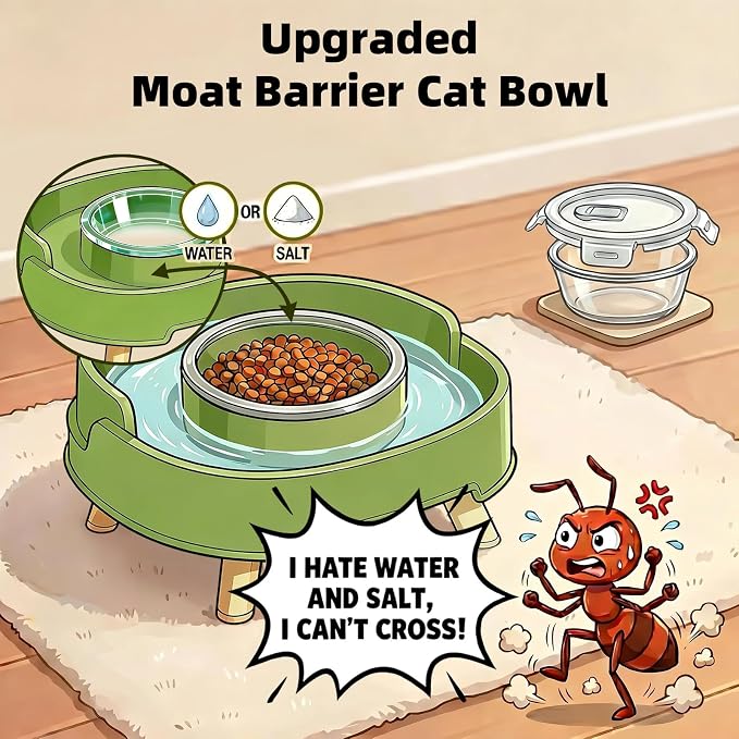2 Pack Ant Not Cross Elevated Cat Bowls Mess Proof-4 Food Grade Glass Bowls & 2 Lids- No Spill Cat Food and Water Feeding Station for Cats&Puppy Indoor & Outdoor,No Whisker Fatigue Dish,Beige