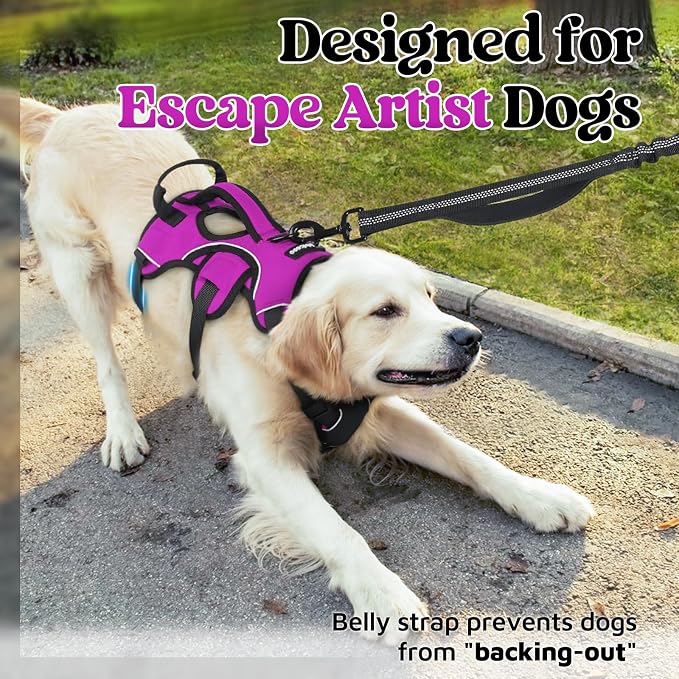 rabbitgoo Escape Proof Dog Harness for Medium, No Pull with Lift Handle | No Escape, Full Soft Padded, Reflective Adjustable Vest, Leash Clip for Walking Hiking Training, Purple, Medium