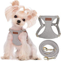 Puppytie XXS Puppy Harness and Leash Set, Silver Grey, XXS (2.2–6 lbs) | Puppy Harness for Small Dogs, Teacup and Yorkie Harness, Soft Lightweight and Adjustable, Small Puppy Harness for Daily Walks