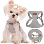 Puppytie XXS Puppy Harness and Leash Set, Silver Grey, XXS (2.2–6 lbs) | Puppy Harness for Small Dogs, Teacup and Yorkie Harness, Soft Lightweight and Adjustable, Small Puppy Harness for Daily Walks