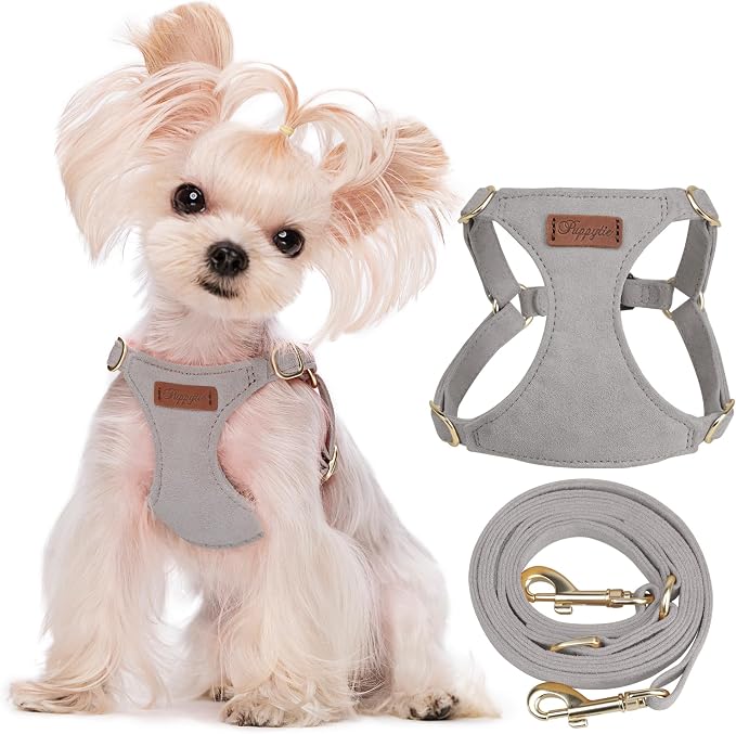 Puppytie XXS Puppy Harness and Leash Set, Silver Grey, XXS (2.2–6 lbs) | Puppy Harness for Small Dogs, Teacup and Yorkie Harness, Soft Lightweight and Adjustable, Small Puppy Harness for Daily Walks