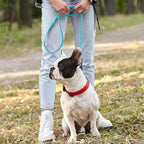 Dogline Biothane Waterproof Dog Leash Strong Coated Nylon Webbing with Black Hardware Odor-Proof Easy to Clean High Performance for Small or Large Dogs Made in USA 2 ft Lead, Sky Blue