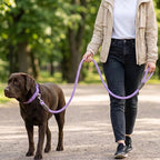 Mile High Life Dog Leash Braided Cotton Rope w/Leather-Wrapped Ends/Handle | Rust-proof 360° swivel clasp, Heavy-duty for medium/large breeds. Great for weddings, daily walks (5 FT, 1/2", Purple)