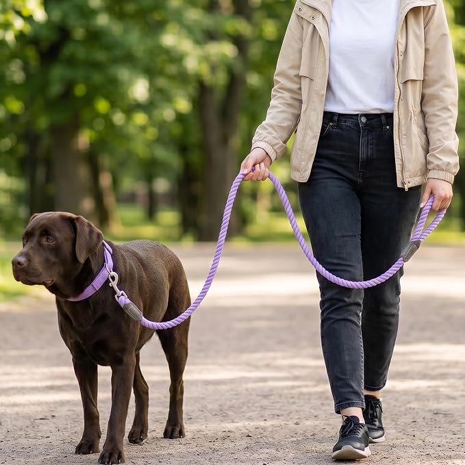 Mile High Life Dog Leash Braided Cotton Rope w/Leather-Wrapped Ends/Handle | Rust-proof 360° swivel clasp, Heavy-duty for medium/large breeds. Great for weddings, daily walks (5 FT, 1/2", Purple)