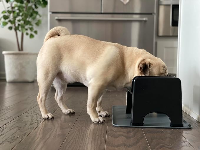 Fluff Trough Elevated Dog Bowl for Food Minimize Neck Strain | 5inch Tall Cat & Dog Feeding Stand | Vet Approved Non-Toxic Silicone Feeder Bowl | Raised Bowl for Medium & Small Dog/Pet with Flat Face